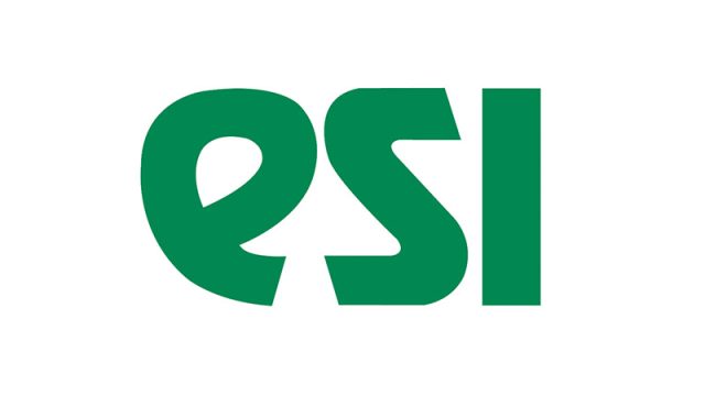 ESI Technology Ltd