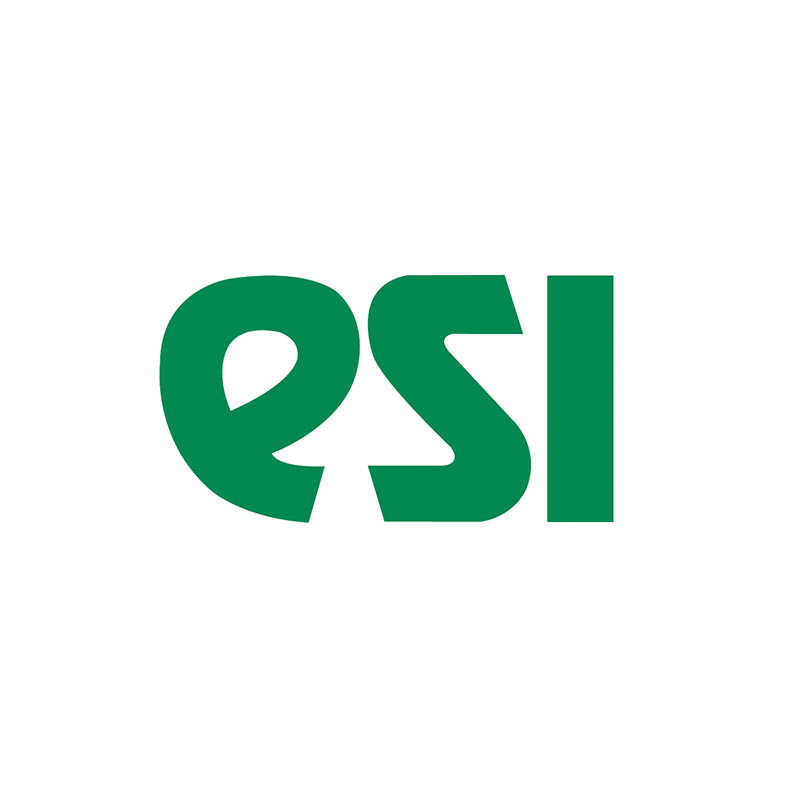 esi-logo-insdir24