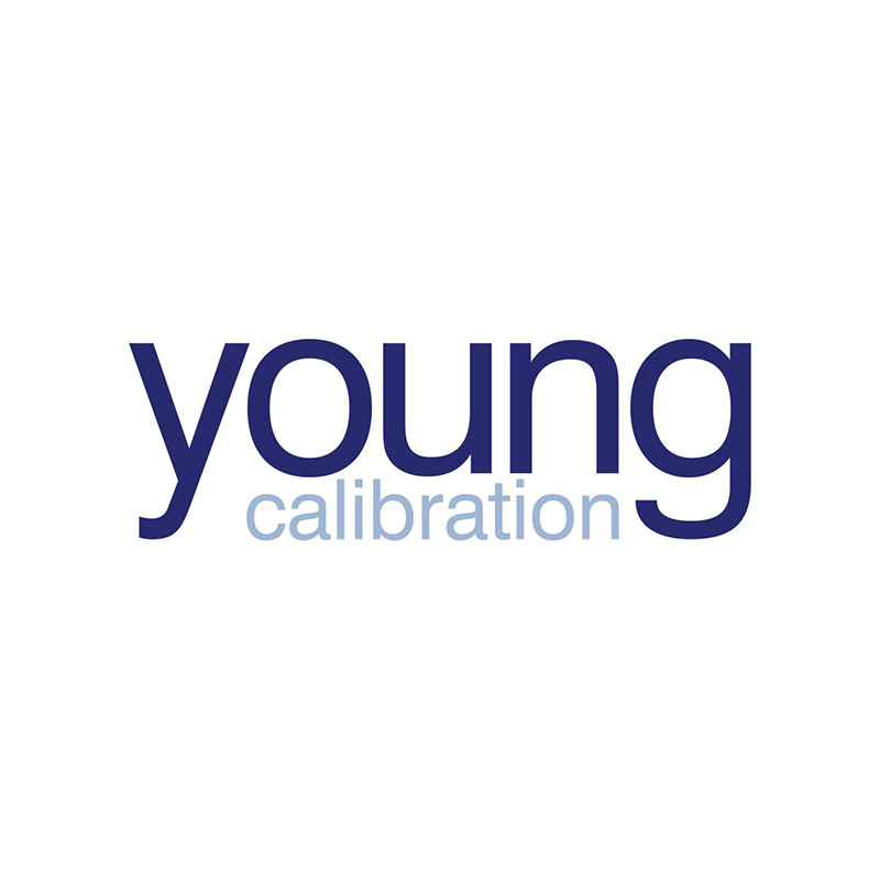 young-logo-insdir24